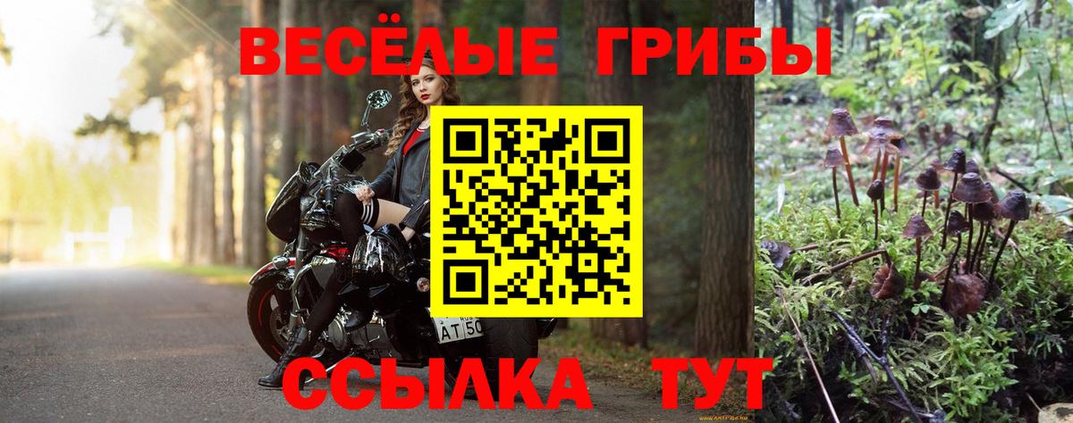 Псилоцибиновые грибы мухоморы  Псилоцибиновые грибы Cubensis  Вход с VPN  Лесной 